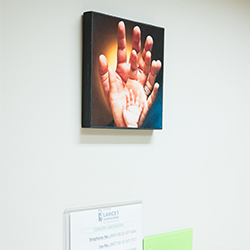 Gallery Thumbnail - Modjadjiskloof Branch