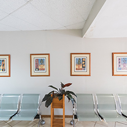 Gallery Thumbnail - Modjadjiskloof Branch