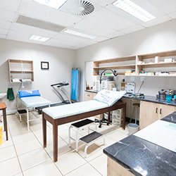 Gallery Thumbnail - Modjadjiskloof Branch